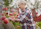 woman watering flowers in a garden